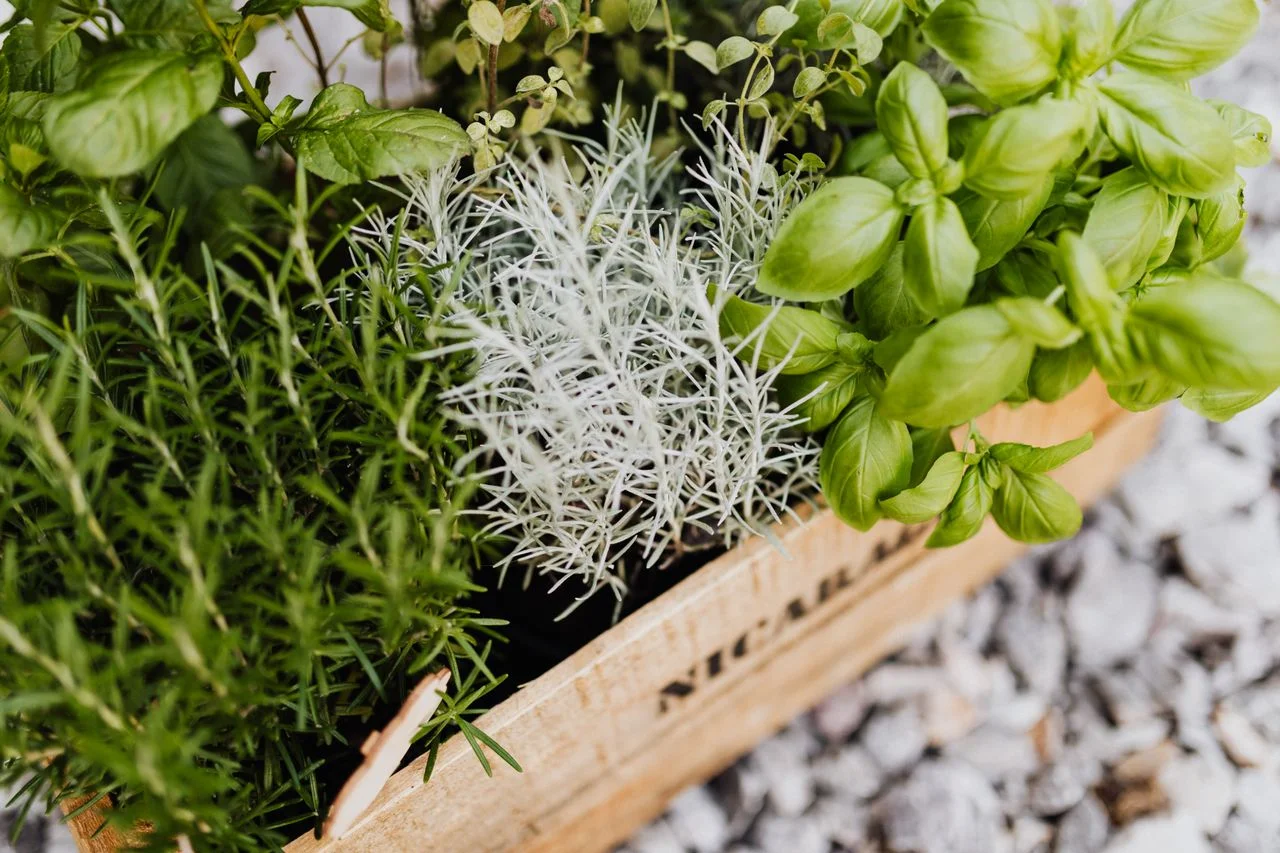 Sublimez votre extérieur : comment intégrer des jardinières en acier dans votre décoration de maison